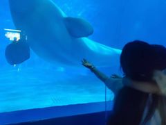 -多彩贵州城极地海洋世界