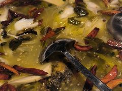 -九毛九西北菜(百信广场店)