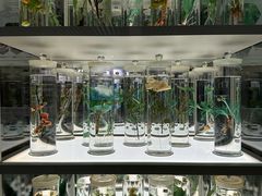 -北京中医药大学-中医药博物馆