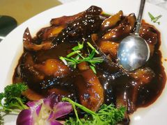 葱烧海参-泰丰楼(前门西大街店)