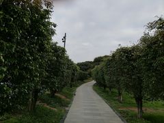 -荔香公园