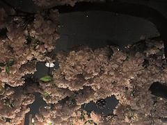 -福禧荟·海鲜自助