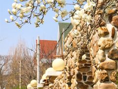 -大连植物园