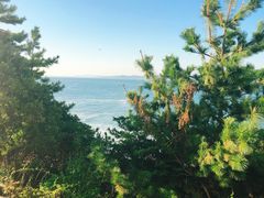 -南紀白浜 浜千鳥の湯 海舟