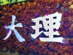 -段公子·精品云南菜