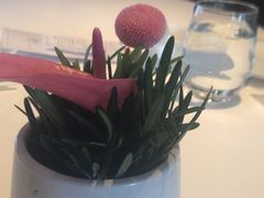 -上海总会SHANGHAICLUB(兴业太古汇店)