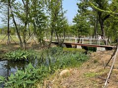 -佛手湖郊野公园