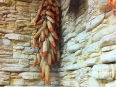 大棒子-左陕右甘(亚运村店)