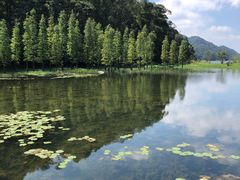 -广州市石门国家森林公园