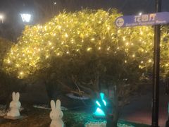 -青岛鑫江温德姆酒店
