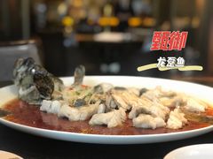 -甄御•海鲜新青岛菜(麦岛店)