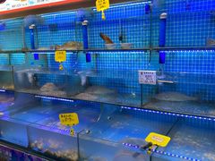 -前王院•巧克力海鲜市集餐厅(万平口店)