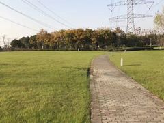 -九里河湿地公园