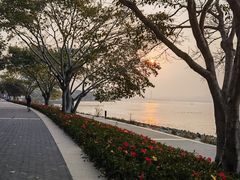 -深圳湾公园(南山区)