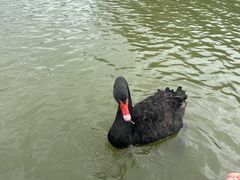 -昆山城市生态森林公园