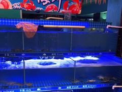 水产区-领鲜活海鲜榴莲自助火锅(东门店)