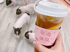 大咖柠檬-猪盟咖啡店(玖洲道店)