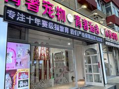 -青奢宠物·青奢猫舍