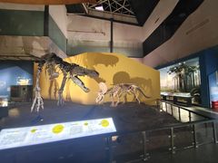 -湖南省地质博物馆