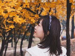 -森林公园(尖草坪区)