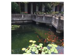 -普陀山慧济禅寺