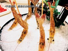 会跳舞的虾-川越泰火锅(吉利大厦店)