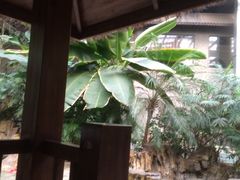-龙达温泉生态城