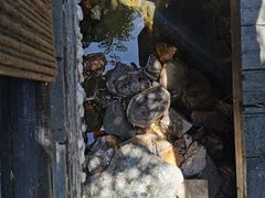 -慢丽江·云南野生菌土鸡锅(西山店)