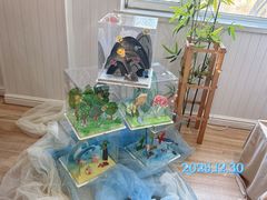 -糖心家族国际幼儿园·托育园(南开水上公园店)