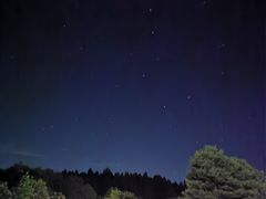 -武陵山森林公园