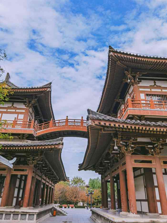 西安市青龙寺遗址景区-"才去的 还没开 就开了几株 不得不说青龙.