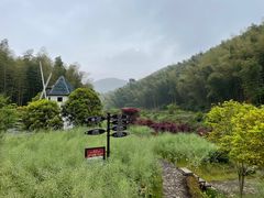 -宁波浙东大竹海景区
