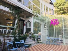 -有猫主题·治愈系猫咖(曾厝垵店)