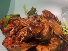 -靓蛙馆