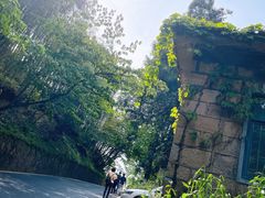 -莫干山风景区