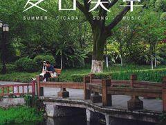 -望江楼公园