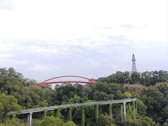 -金鸡山公园
