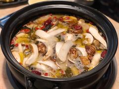 -蘑统田下·野生菌火锅