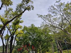 -云溪植物园