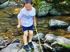 -藏龙百瀑风景区
