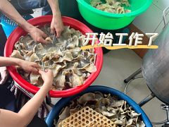 -大中鱼翅 Taitong Shark Fin