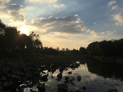 景点-新江湾城公园