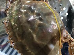 -盒马鲜生(悦峰店)