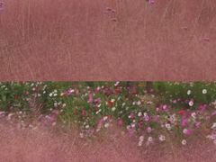 -嘉北郊野公园