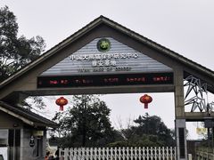 -中国大熊猫保护研究中心雅安碧峰峡基地