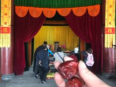 -大槐树寻根祭祖园