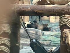 -泉州海丝野生动物世界