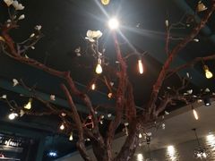 -梧桐树下(云锦世家店)