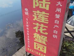-小陆莲花蟹园农家乐(莲花岛店)
