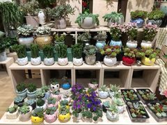 -AEON永旺(东方宝泰店)